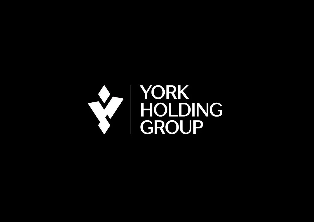 York Holding Group — featured screenshot